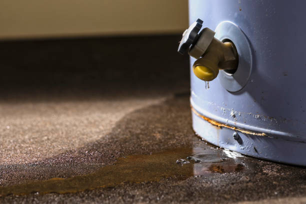  Mead Valley, CA Water damage restoration Pros