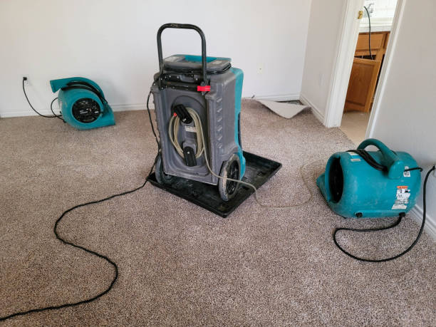 Best Professional water damage repair  in Mead Valley, CA