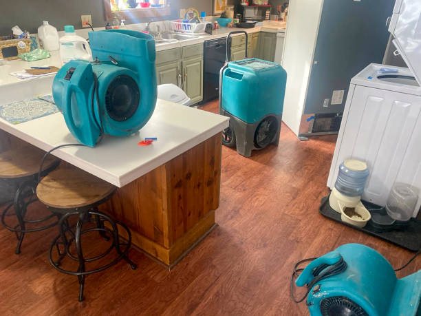 Best Water damage restoration near me  in Mead Valley, CA