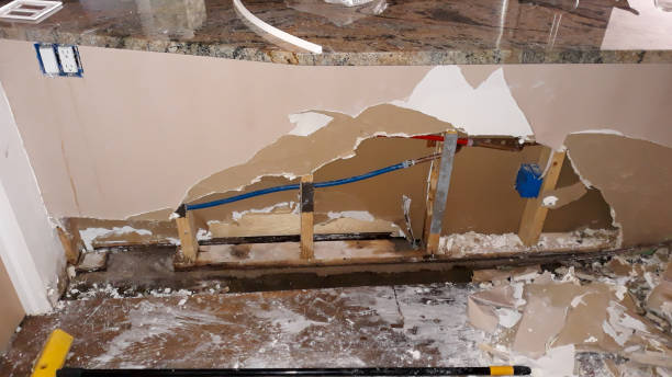 Best Water damage restoration specialists  in Mead Valley, CA