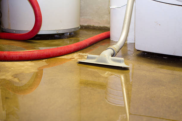 Best Flood restoration services  in Mead Valley, CA