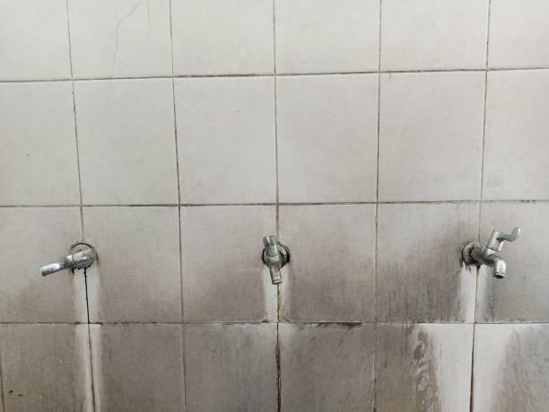 Best Water damage cleanup near me  in Mead Valley, CA