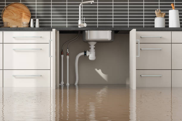 Best Water damage restoration near me  in Mead Valley, CA
