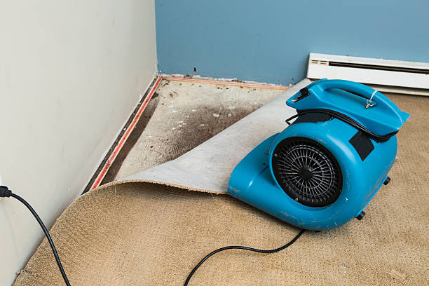 Best Emergency water damage restoration  in Mead Valley, CA